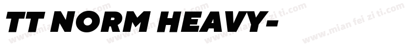 TT NORM HEAVY字体转换